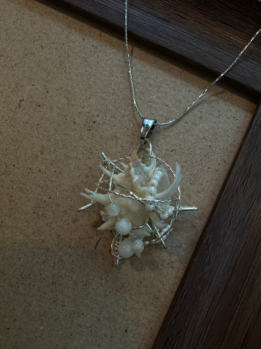 shell necklace |3