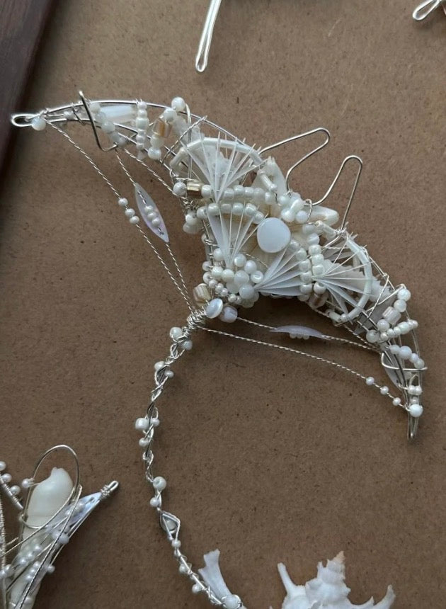 manta ray （reserved 15days)